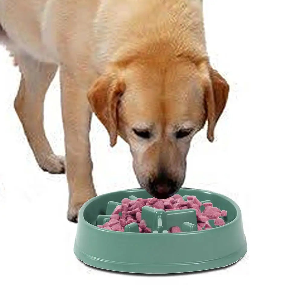 Pet Dog Bowl Dog Slow Feeder Bowl Puppy Cat Slow Eating Dish Bowl Anti-Gulping Food Plate Feeding Dog Cat Food Bowl Pet Supplies