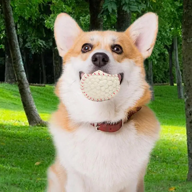 Dog Squeaky Teething Ball Funny Soft Puppy Chewing Sports Ball Squeaky Toy Pet Accessories Interactive Puppy Squeaky Sports Ball