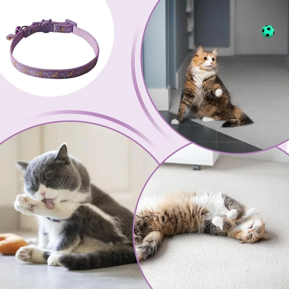 Moon And Star Cat Collars Removable Cat Collar Safety Pet Collar For Pet Adjustable Bell Safety Pet Collars For Dog