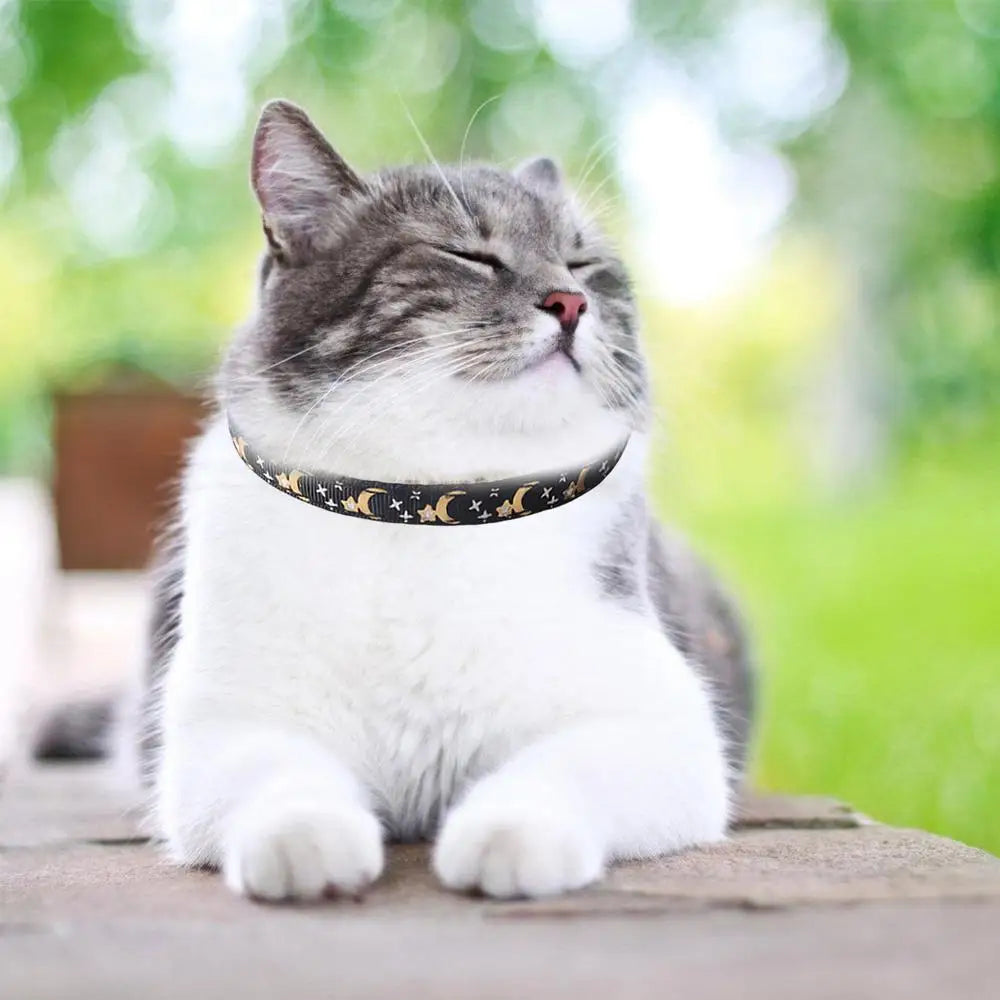 Moon And Star Cat Collars Removable Cat Collar Safety Pet Collar For Pet Adjustable Bell Safety Pet Collars For Dog