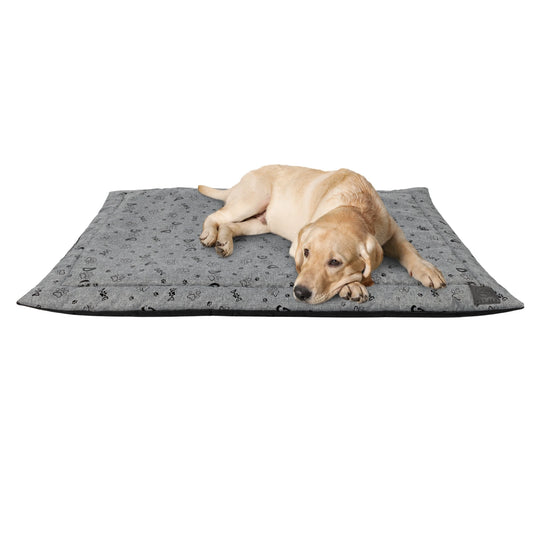 Dog Mat Waterproof Grey DOG 70x50cm