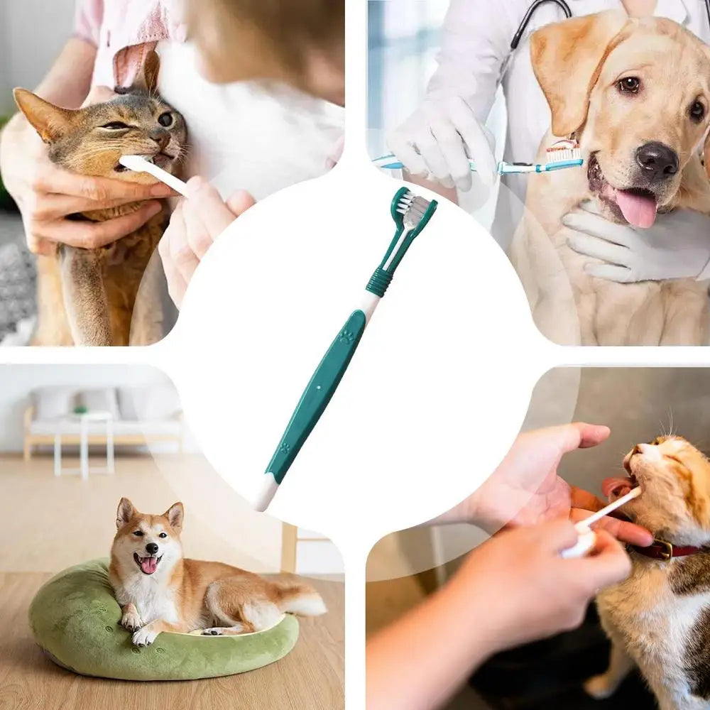 Three Sided Pet Toothbrush Three-Head Pet Toothbrush For Dogs And Cats Oral Cleaning Brush Care Products Tool Wholesale