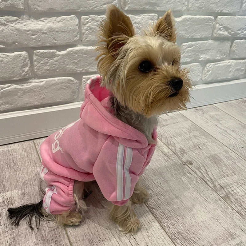 Warm Spring Puppy Dog Cat Jumpsuits High Quality and Low Price Pet Clothes for Small Dogs Chihuahua Yorkshire Pets Coat Clothing