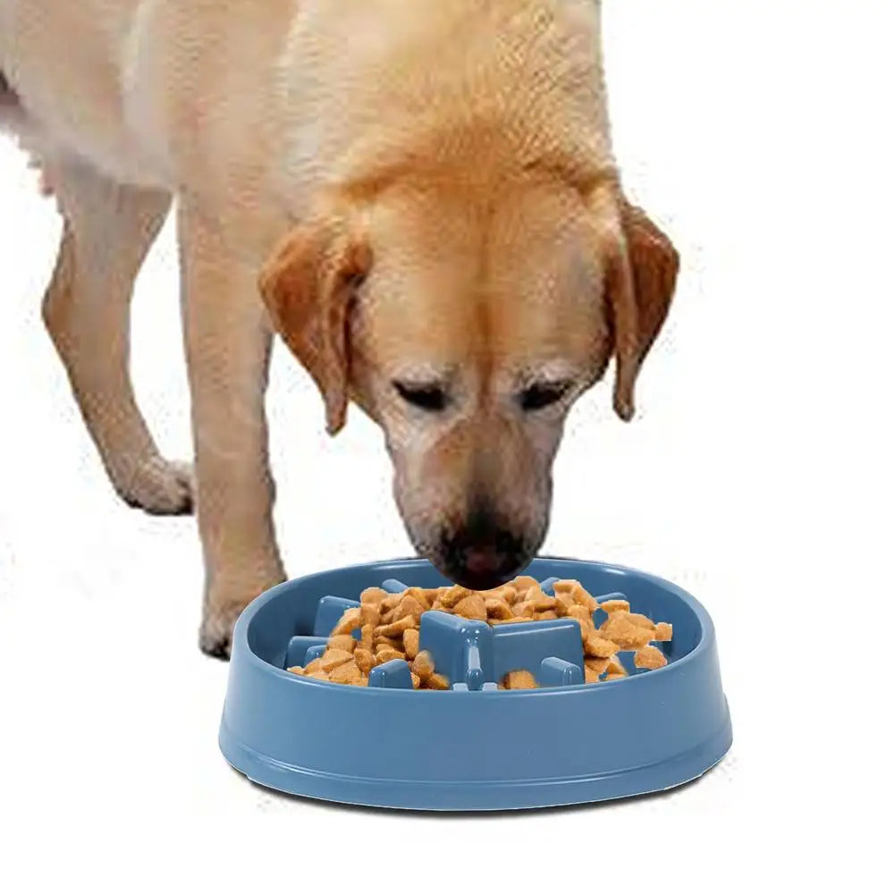 Pet Dog Bowl Dog Slow Feeder Bowl Puppy Cat Slow Eating Dish Bowl Anti-Gulping Food Plate Feeding Dog Cat Food Bowl Pet Supplies