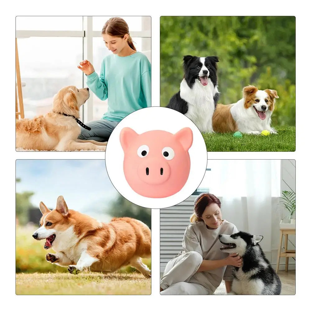 Squeaky Dog Toys Grunting Pig Dog Toy Squeaker Puppy Chew Small Pacifier Pig Model Ball Toy Cute Funny Latex Balls Tongue Squeak